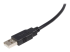 USB2HAB10 - StarTech.com 3 m Certifierad USB 2.0 A- till B-kabel - Närbild