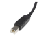 USB2HAB6 - StarTech.com 1,8 m Certifierad USB 2.0 A- till B-kabel - Närbild